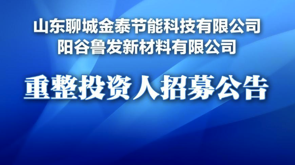 聊城节能科技、新材料公司重整招商